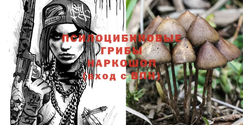 Галлюциногенные грибы Magic Shrooms  Волгореченск 